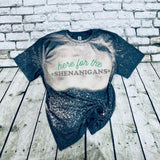 Here For The Shenanigans-1