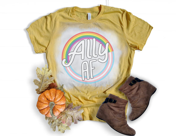 Ally AF-Rainbow and Trans Rainbow