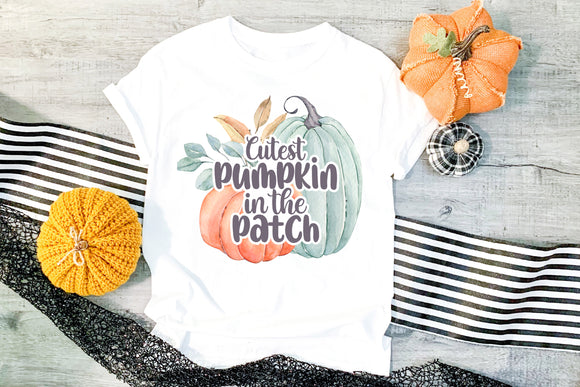 Cutest Pumpkin in the Patch