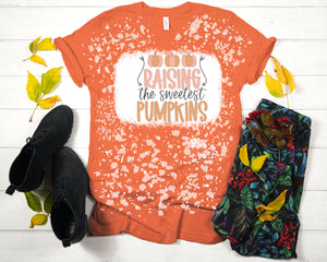 Raising The Sweetest Pumpkins