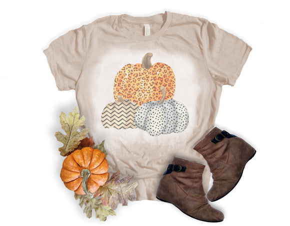 Three Animal Print Pumpkins